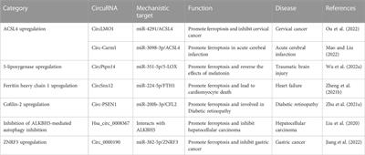 Circular RNAs in ferroptosis: regulation mechanism and potential clinical application in disease